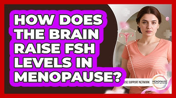 How Does The Brain Raise FSH Levels In Menopause? - Menopause Support Network