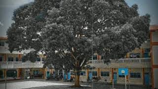 Story Wa Cassandra  Cinta Terbaik