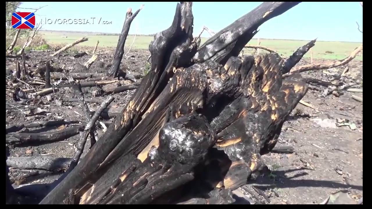 Иловайский котел, место гибели 72-й бригады - YouTube