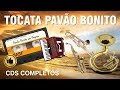 Pavão Bonito em Viagem de Visita - CD Completo - Tocata Completa  Misael João Berganton Jairo e Cia