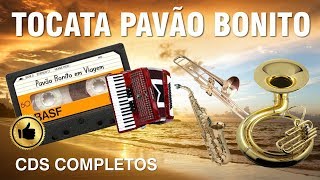 Pavão Bonito em Viagem de Visita - CD Completo - Tocata Completa  Misael João Berganton Jairo e Cia