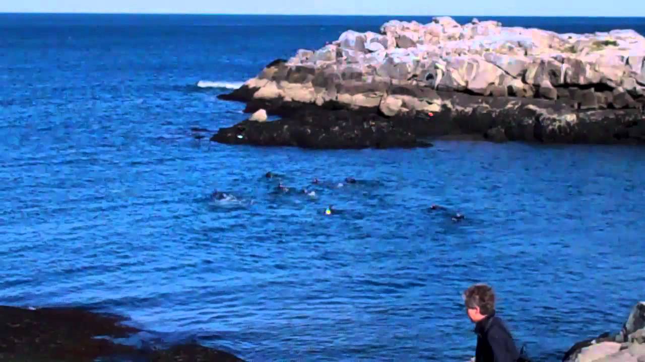 Scuba Divers at Nubble Lighthouse, Cape Neddick, Maine YouTube
