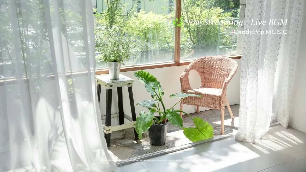 【LiveBGM】素敵な１日にする爽やかBGM🌿お洒落な洋楽で過ごす癒しの時間｜作業用・読書・かけ流し