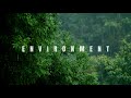 Let's Protect Our Environment To Make a Better World