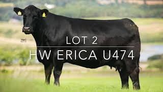 Lot 2