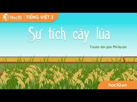 Video Sự tích cây lúa - Tiếng Việt 3 | Hoc10 - youtube