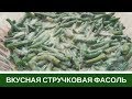 Вкусная Стручковая Фасоль (Спаржевая) - Два Рецепта