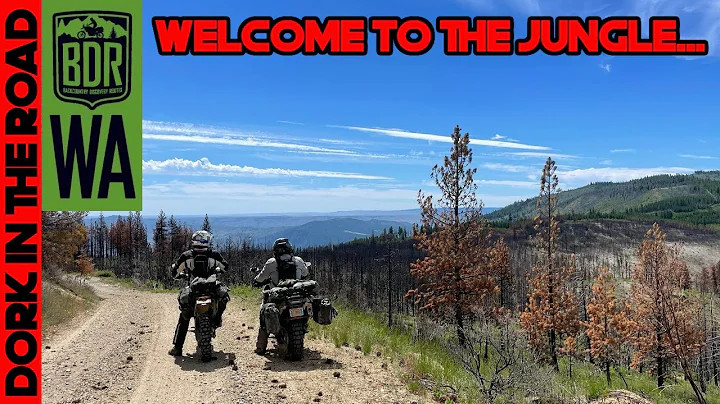 The Jungle, Chumstick Mountain, and Section 4: Norden 901 on the Washington BDR, Day 3