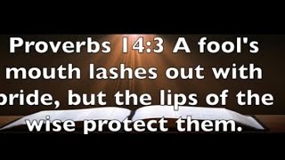 Proverbs 14:3 Choose To Be Wise Protect Your Lips