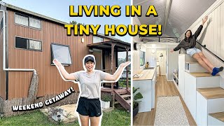 LIVING in a TINY HOUSE on a FARM! Robertson NSW Weekend Road Trip Guide - Sydney Weekly Vlog