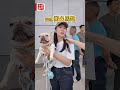 【澳日快趣】喂  唔係有轆都可以上街