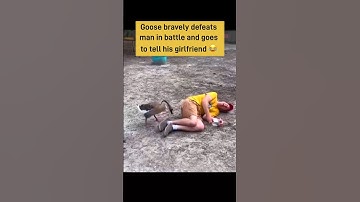 Goose Kills Man 🪿 #shorts
