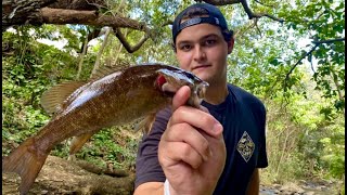HOW TO CATCH BASS IN HAWAII | FT. ZAN MARTIN