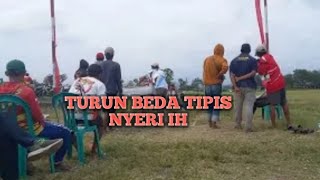 BEDA TIPIS YERI IH //MERPATI LOSARI RAWALO