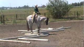 LadyBeaGoodBar  -  Zippos Mr Good Bar daughter