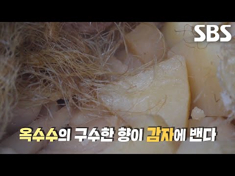 ‘옥수수수염’ 향 입힌 감자죽 들어간 <strong>밀면</strong> 달인만의 반죽 비법★
