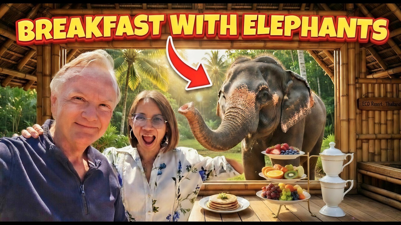 We Woke Up With Elephants in Our Bedroom!