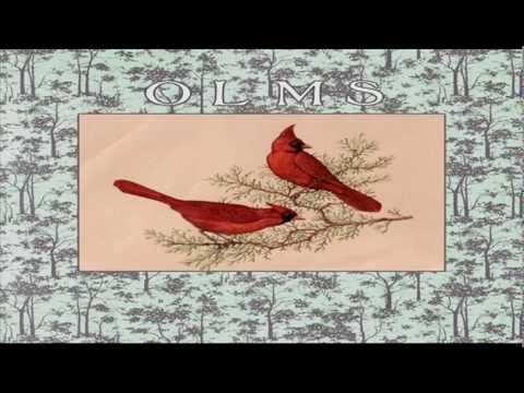 OLMS - Too Much To Care