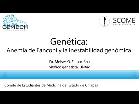 Vídeo: Mantenimiento De La Estabilidad Del Genoma Por Las Proteínas De La Anemia De Fanconi