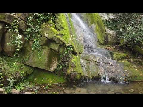 Fonte di Docciola (Cercina Sesto Fiorentino) - Saverio Pepe