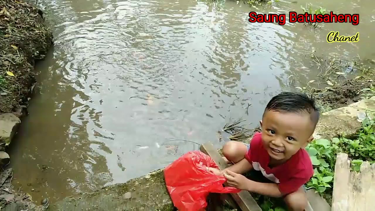 Hari ini Fahrez Main sama Ikan Nila Merah 