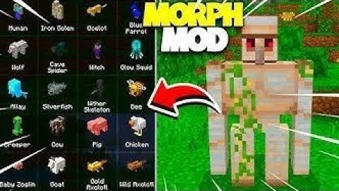Best Morph mod minecraft pe 1.21.101 ।  Minecraft Addon morph mcpe 1.21