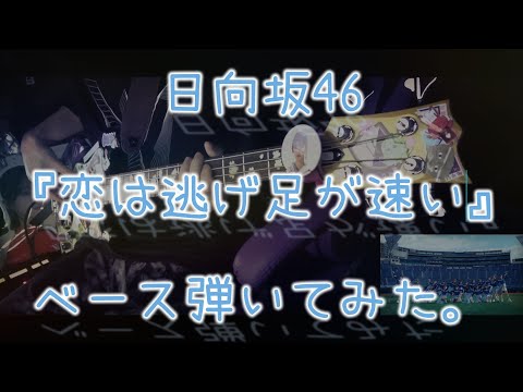 日向坂46『恋は逃げ足が速い』ベース弾いてみた。