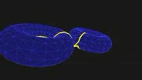 Cutting a Torus into a Disk