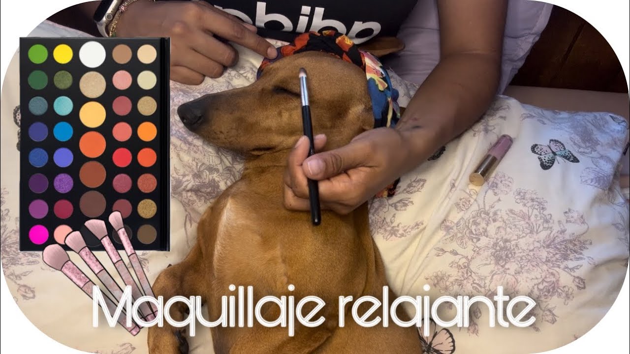 ASMR | 🐶💄 MAQUILLAJE DE LUJO A PANDORITA | SÚPER RELAJANTE