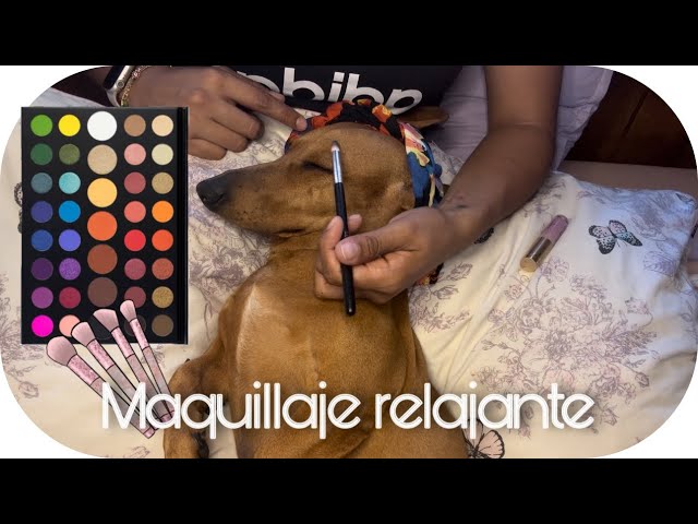ASMR | 🐶💄 MAQUILLAJE DE LUJO A PANDORITA | SÚPER RELAJANTE