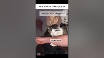 Frontend, Backend, Perfect Harmony #coding #programming #javascript #python