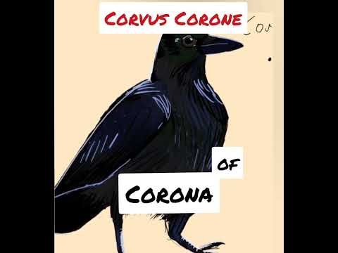 Corvus Corone: Mnemonic