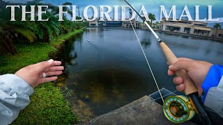 I Went FLY FISHING in a Shopping Mall! (I CAUGHT SNOOK!) by Eric Estrada 6,502 views 5 months ago 9 minutes, 19 seconds