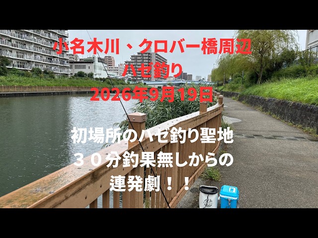 DAIWA】morethan BRANZINO EX AGS 87LML - URBAN SIDE CUSTOM - I