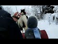 Запрягли перший раз коня🐴Зима в Карпатах. Орлик катає нас в санках❄️🤠🐴👍