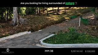 FFPI 38 - DULCE PACIFICO