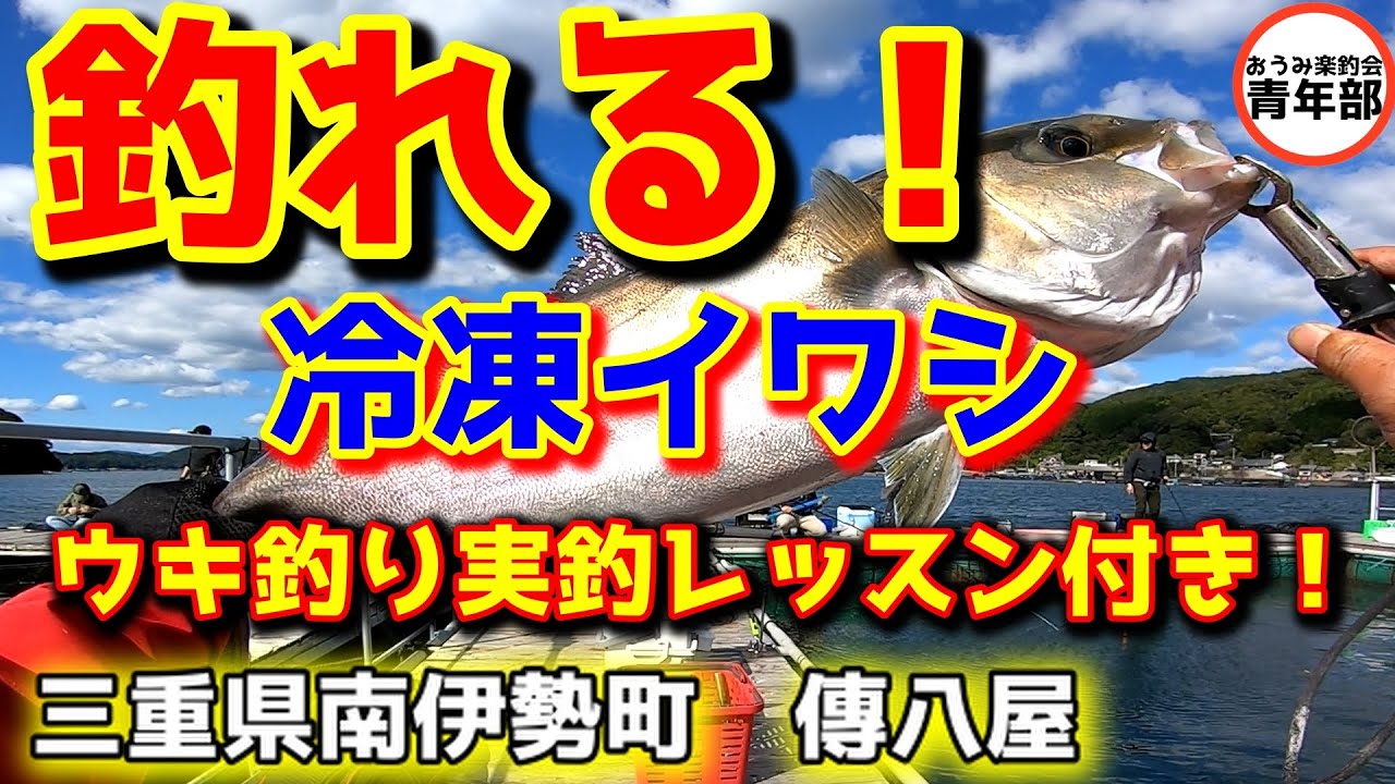 【釣り・海上釣堀】鯛も青物もイワシで釣れる！ウキ釣りの実釣レッスン付き！＃海上釣堀　＃浮釣り　＃PR　＃がまかつファクトリーモニター　＃傳八屋　＃冷凍イワシ