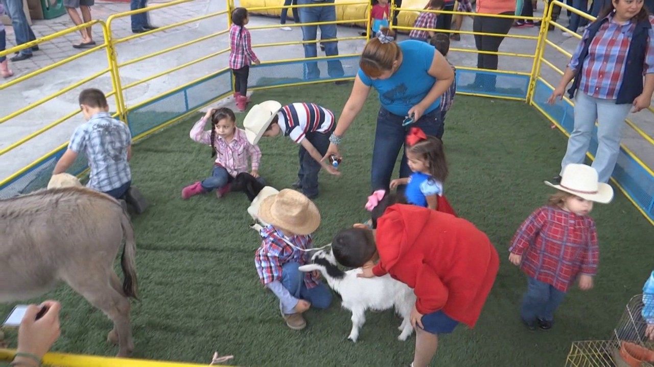 Rodeo Infantil en Monterrey - YouTube