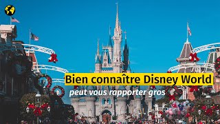 Dans Le Business Des Astuces Disney World