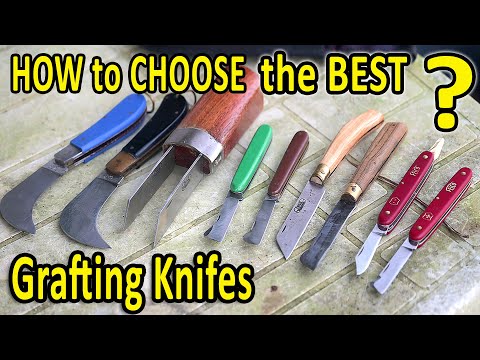 Video: Do You Know All About The Grafting Knife?