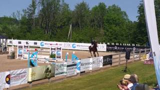 Julius Van Der Koodries Grevlunda