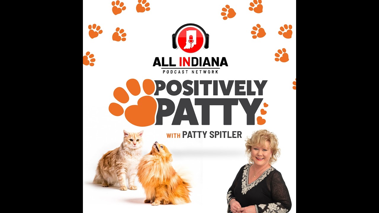 Affectionate but active! Is a labrador retriever right for you?