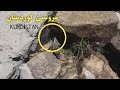 Natural Kurdistan سروشتێ کوردستان کانی بەر بوهارێ 