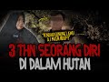 Ini cerita serem banget 3 tahun seorang diri di dalam hutan