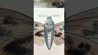 Super speedy moth coloring