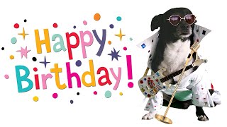 Happy Birthday Song Funny dog sings like Elvis
