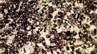 Ormet Sintering Paste