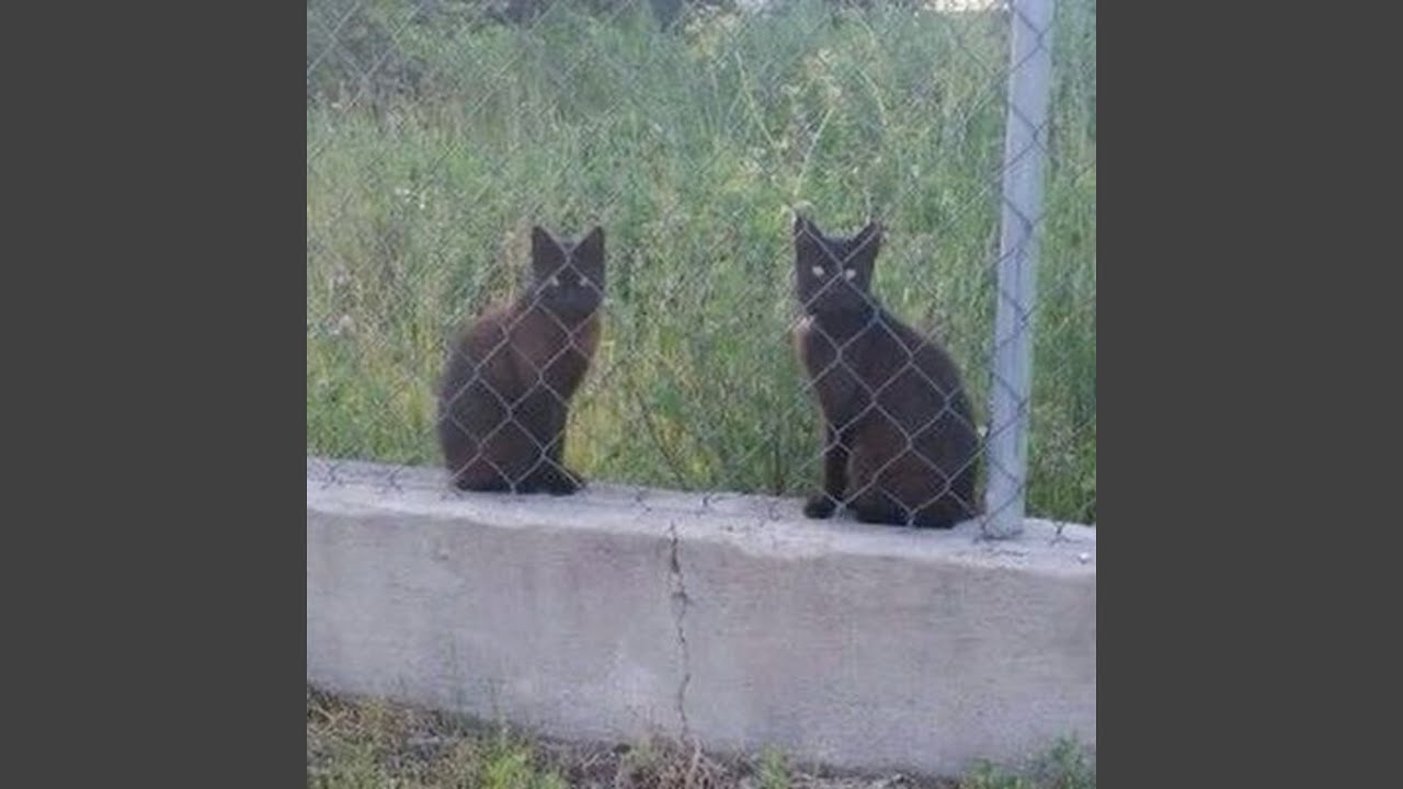 wish we could go back