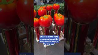 Který Druh Rajčat Je Nejlepší?