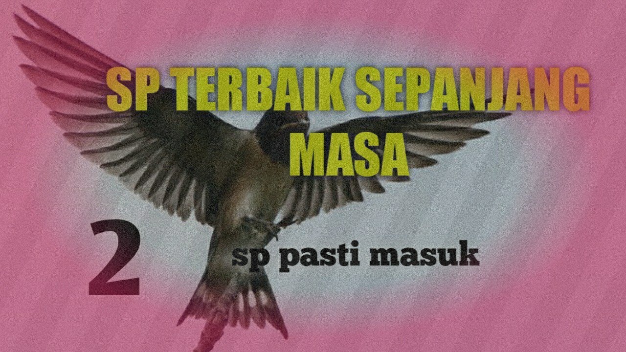 Suara panggil walet terbaik | SP Pasti Masuk